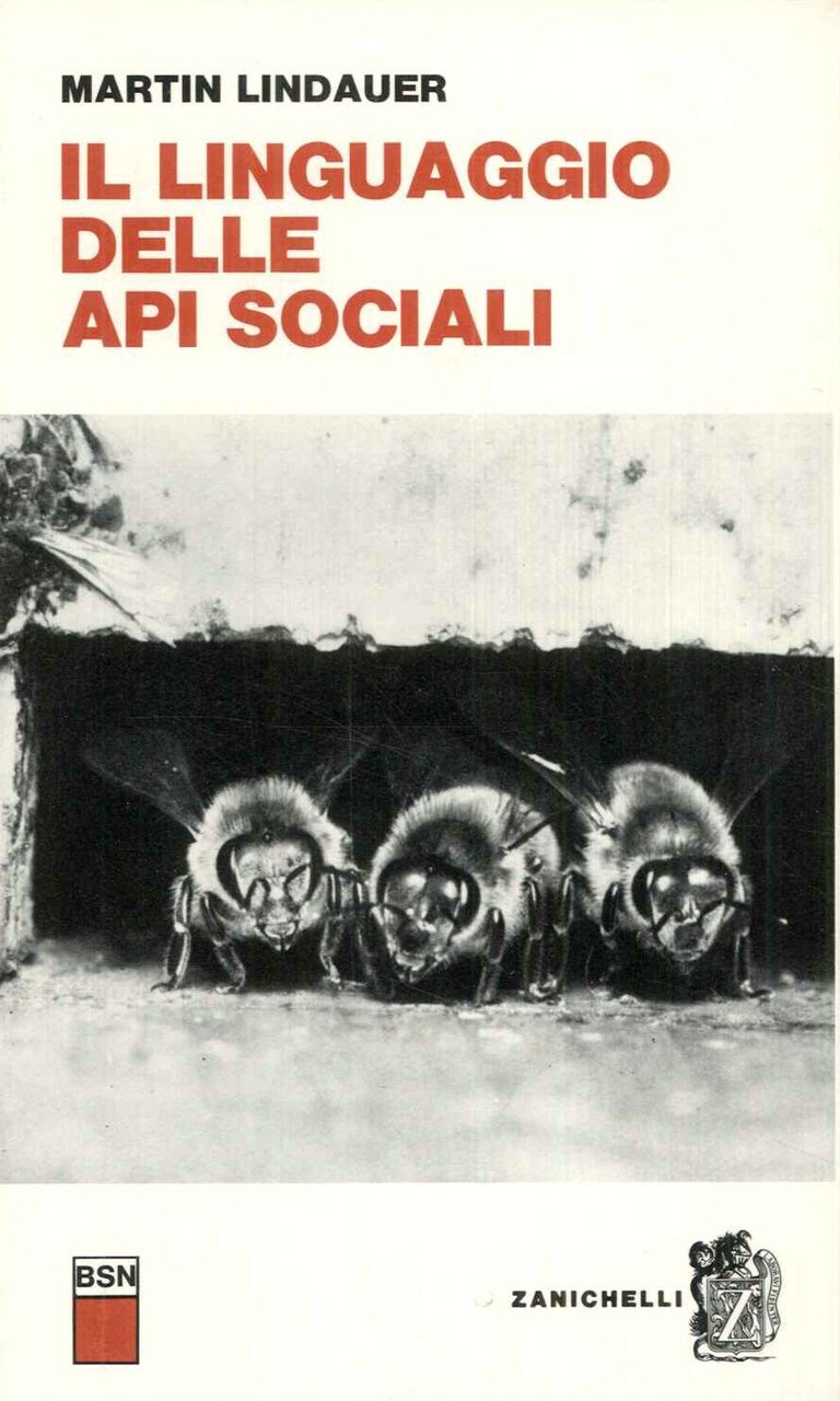 Il linguaggio delle api sociali