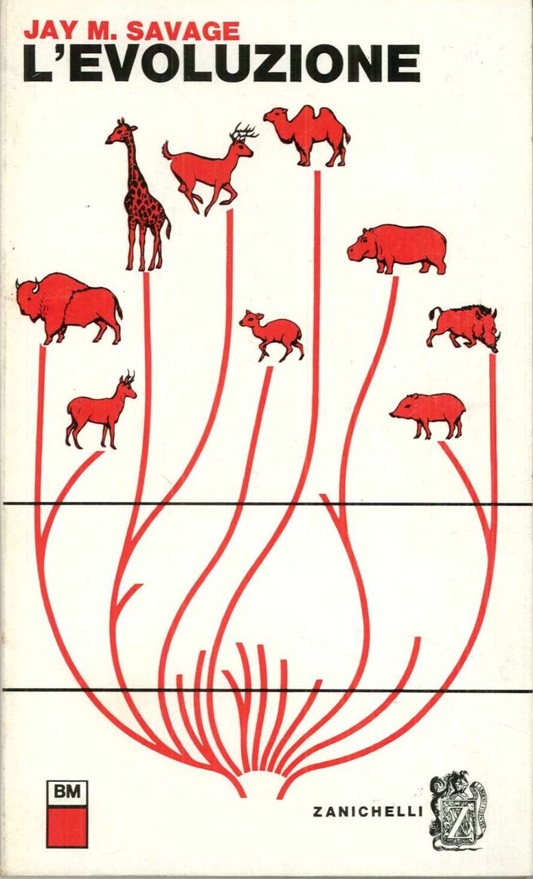 L'evoluzione