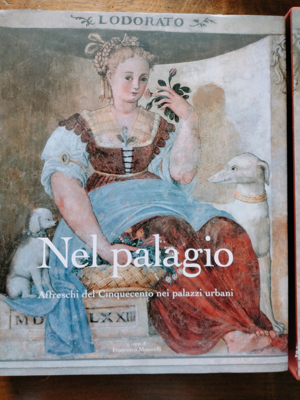 Nel palagio. Affreschi del Cinquecento nei palazzi urbani