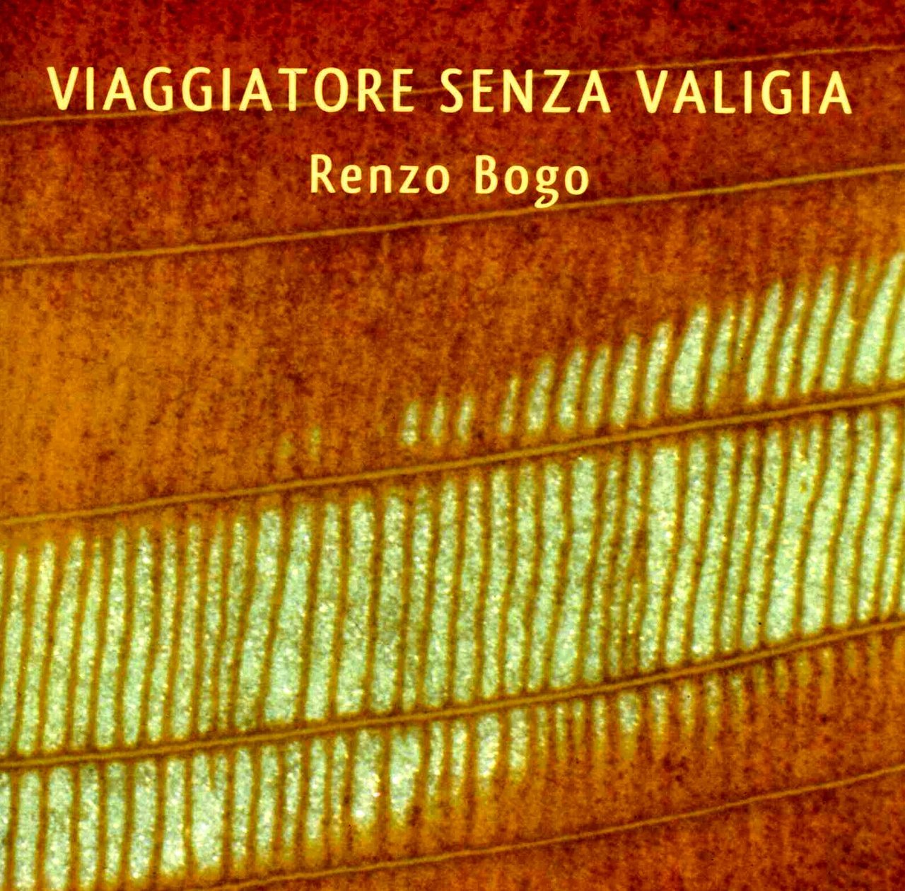 Viaggiatore senza valigia