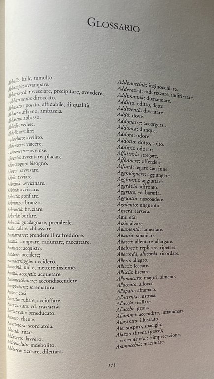 DON CHISCIOTTE DELLA MANCIA RIDOTTO IN VERSI NAPOLETANI