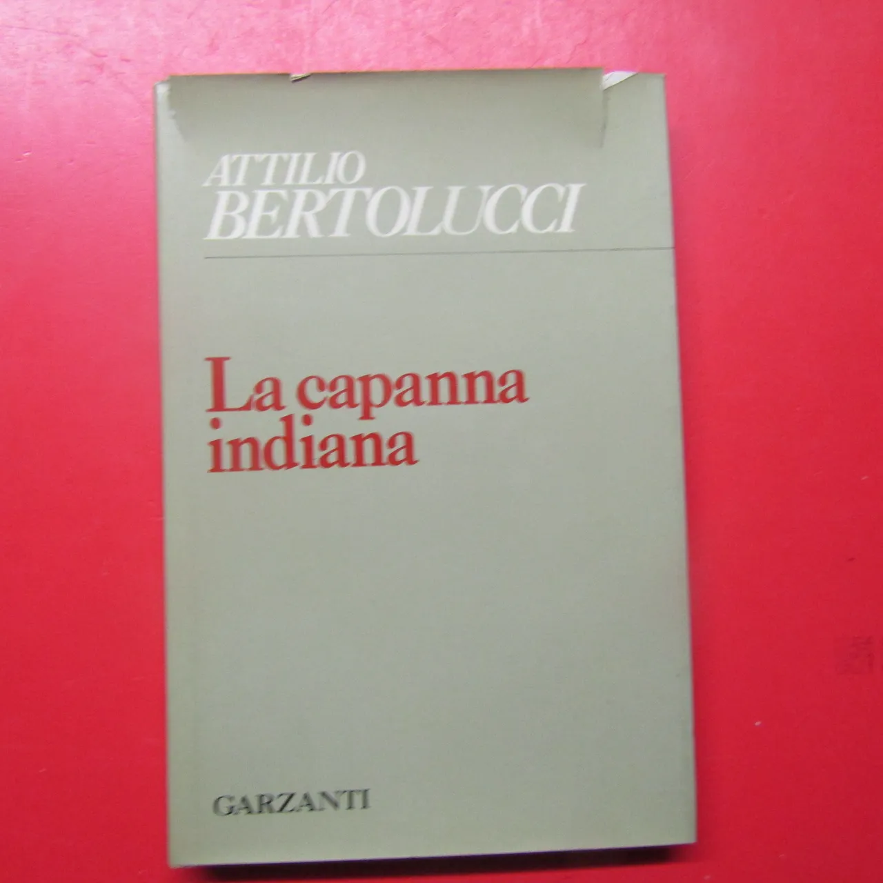 La capanna indiana | Immagine principale