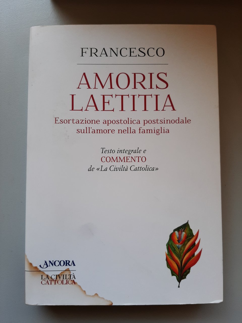 Amoris Laetitia. Esortazione Apostolica postsinodale sull'amore nella famiglia. Testo integrale …