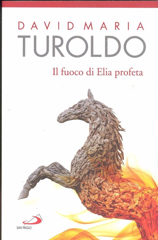 Il fuoco di Elia profeta. Omelie 1989-1990. Testamento spirituale