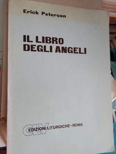 Il libro degli angeli