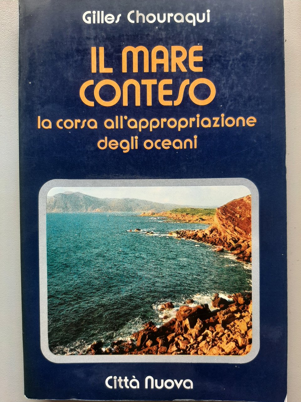 Il mare conteso. La corsa all'appropriazione degli oceani