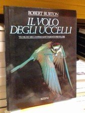 Il volo degli uccelli.