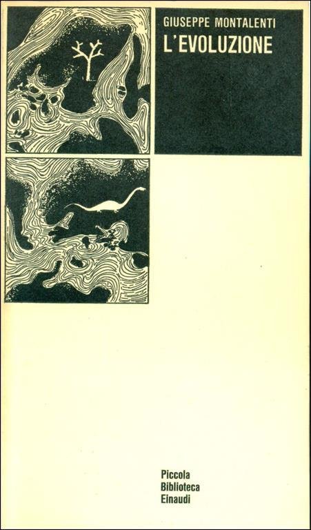 L'evoluzione.