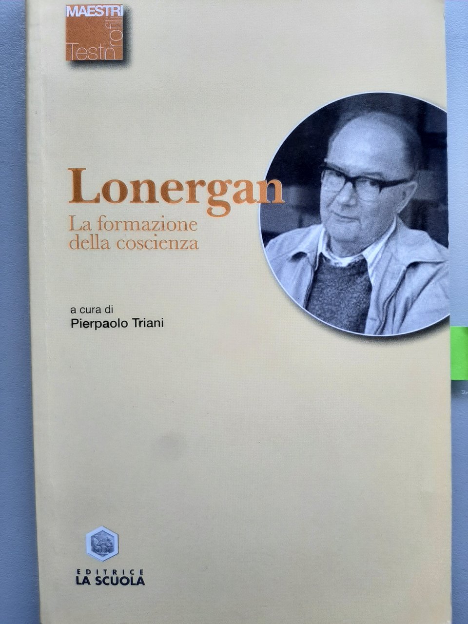 La formazione della coscienza. A cura di Pierpaolo Triani