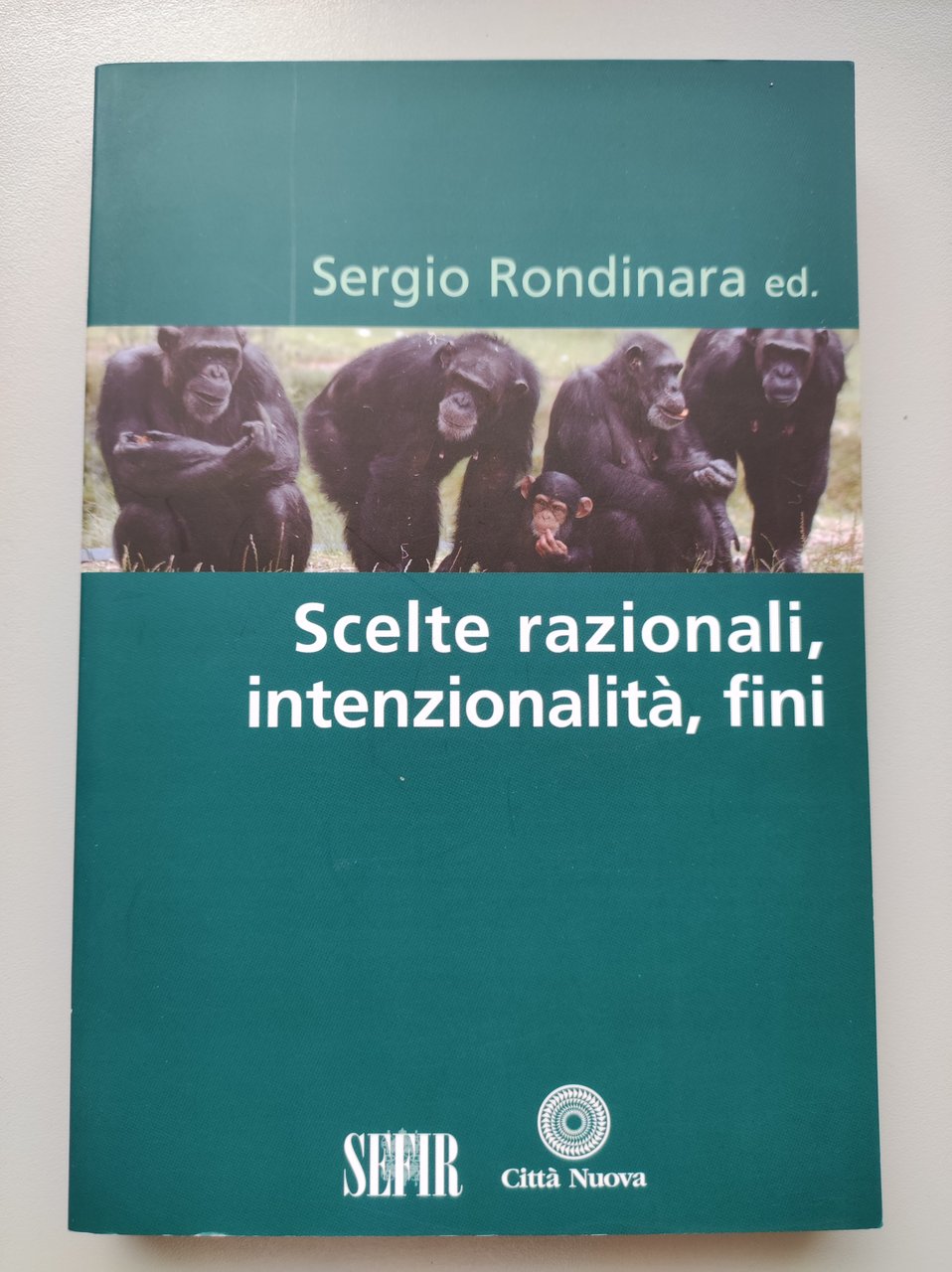 Scelte razionali, intenzionalità, fini.