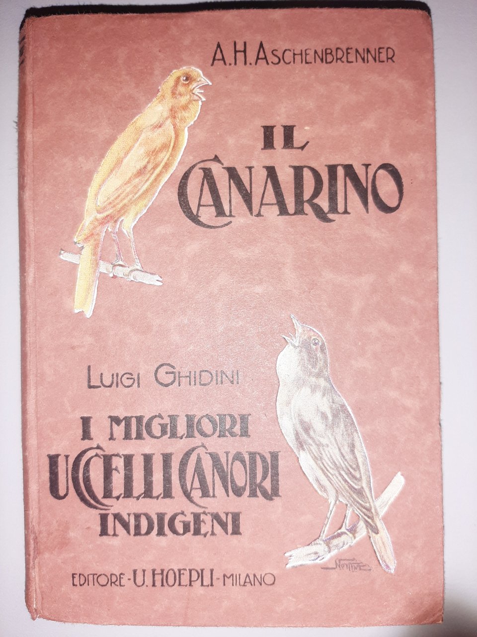 Uccelli canori. Il canarino ed i migliori uccelli canori indigeni …