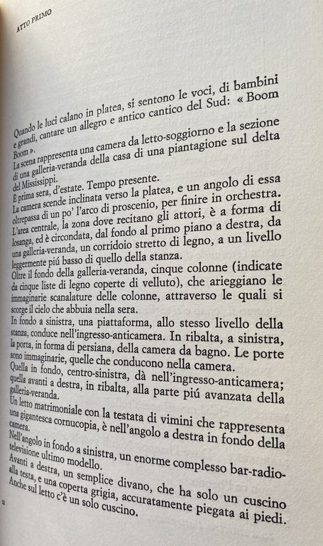 TEATRO. LA CAMERA BUIA, RITRATTO DI MADONNA, LA LUNGA PERMANENZA …