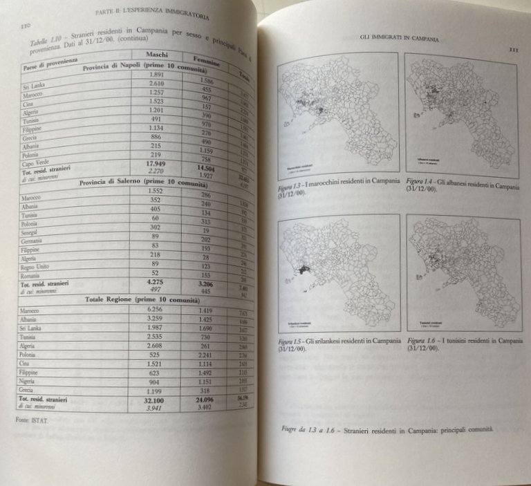 GEOGRAFIE DELL'IMMIGRAZIONE. SPAZI MULTIETNICI NELLE CITTÀ: IN ITALIA, CAMPANIA, NAPOLI