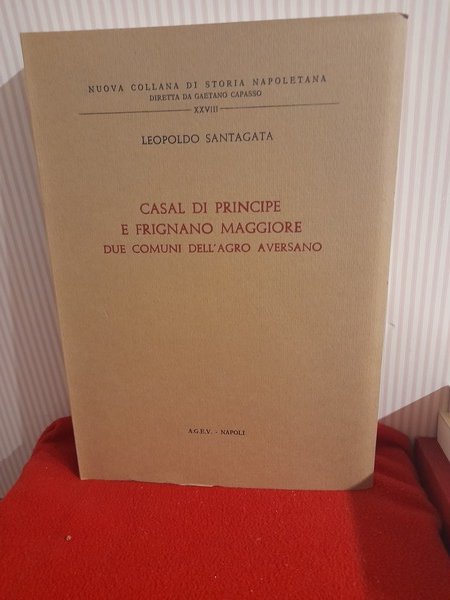 CASAL DI PRINCIPE E FRIGNANO MAGGIORE. Due comuni dell'Agro Aversano. …