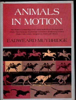 Animals in Motion