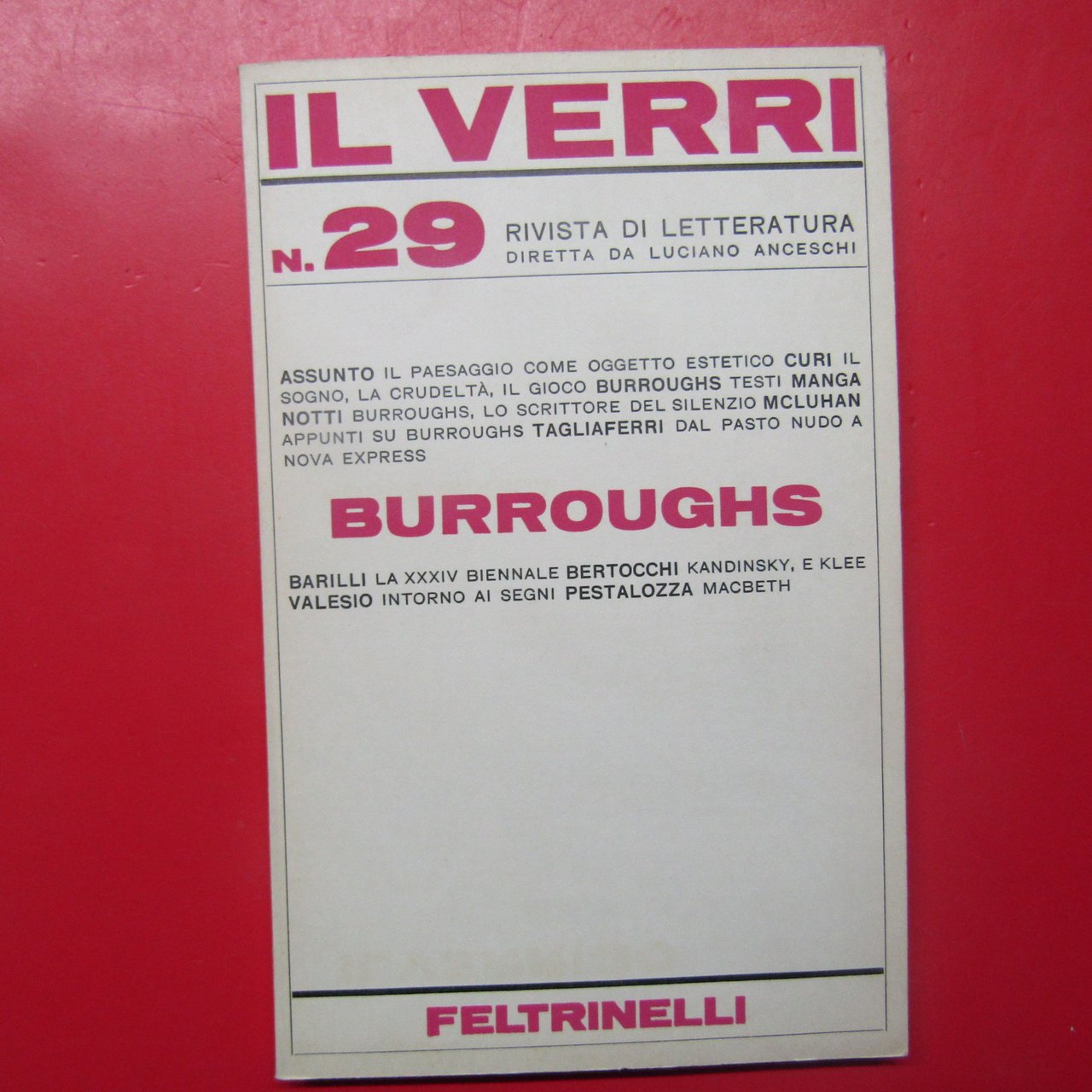 Il Verri N. 29