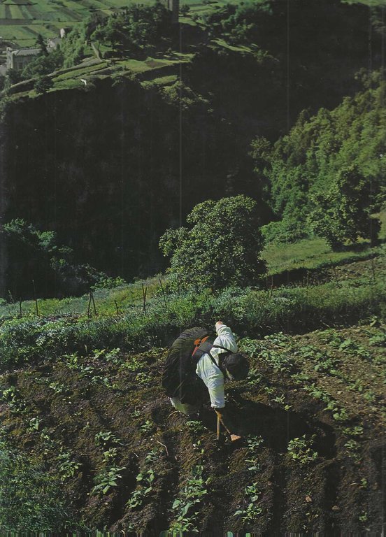 "Lombardia Uomo e Ambiente"