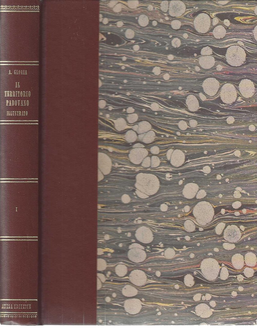 "Il territorio Padovano illustrato"