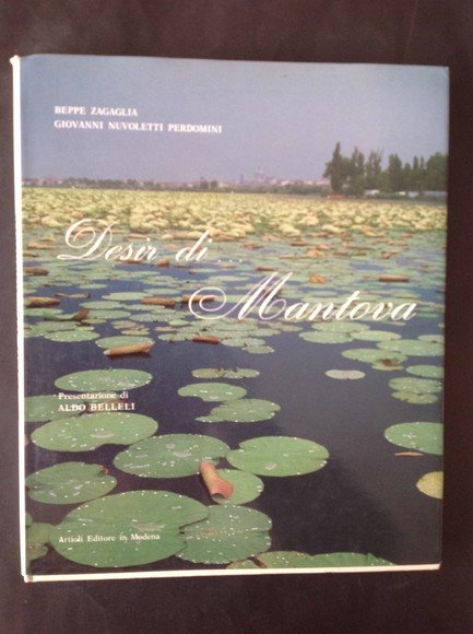 DESIR DI. MANTOVA