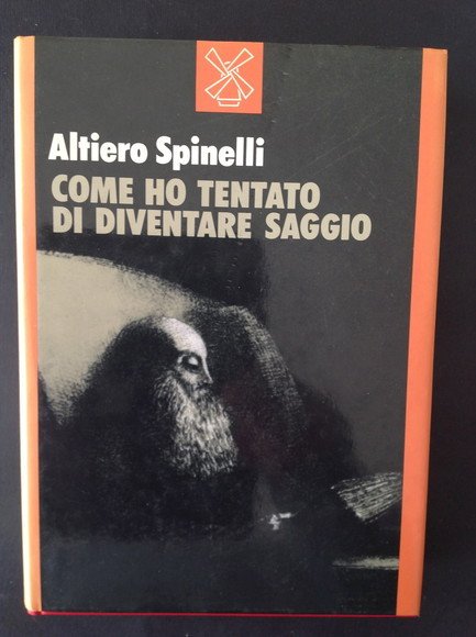 COME HO TENTATO DI DIVENTARE SAGGIO