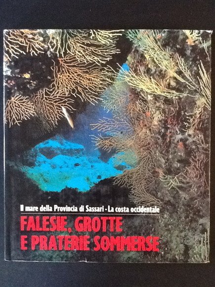FALESIE, GROTTE E PRATERIE SOMMERSE IL MARE DELLA PROVINCIA DI SASSARI. LA COSTA OCCIDENTALE