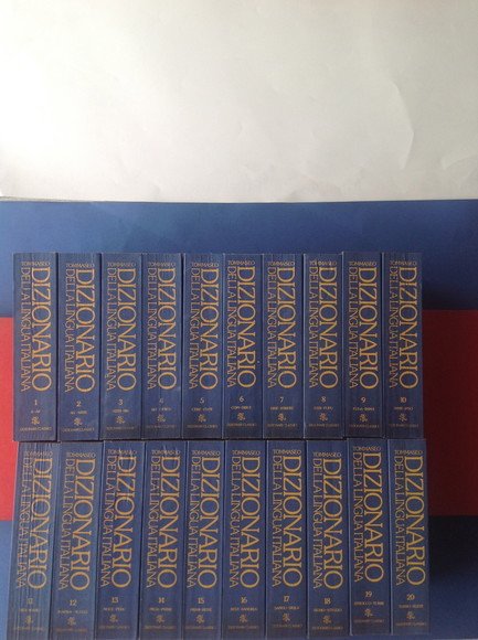 DIZIONARIO DELLA LINGUA ITALIANA - 20 VOLUMI
