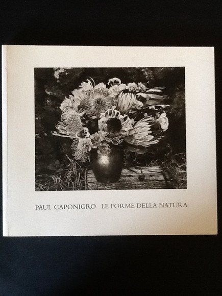 PAUL CAPONIGRO. LE FORME DELLA NATURA