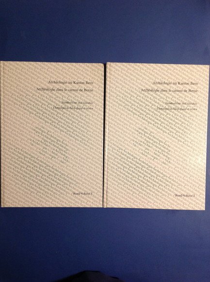 ARCHAOLOGIE IM KANTON BERN / ARCHEOLOGIE DANS LE CANTON DE …