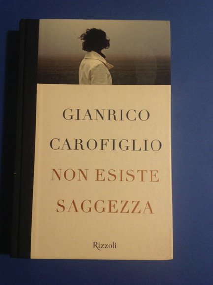 NON ESISTE SAGGEZZA
