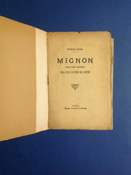 MIGNON CON UNO STUDIO SULLA VITA E LE OPERE DELL'AUTORE