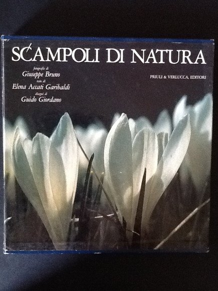 SCAMPOLI DI NATURA. FRAGMENTS OF NATURE