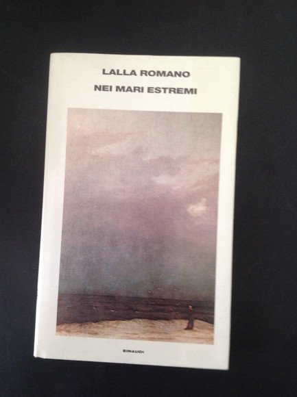 NEI MARI ESTREMI