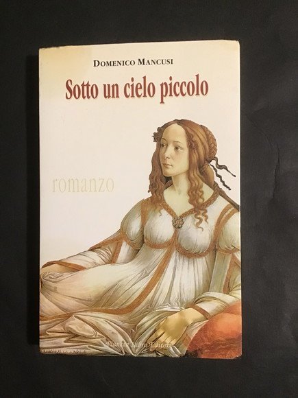 SOTTO UN CIELO PICCOLO | Immagine principale