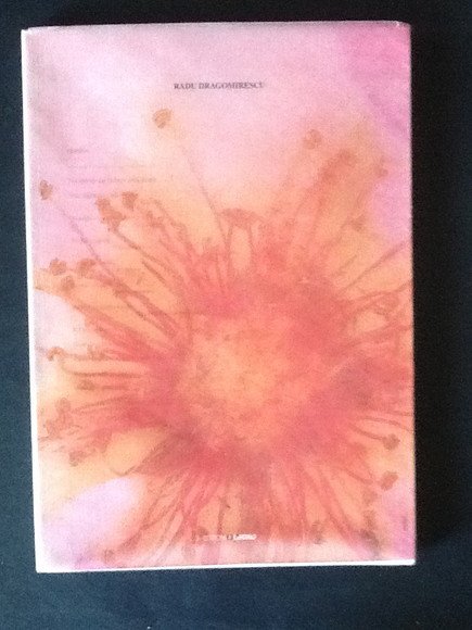 RADU DRAGOMIRESCU. UNA FORTE LUCE ORIZZONTALE SOPRA IL SENTIERO DI … | Immagine principale