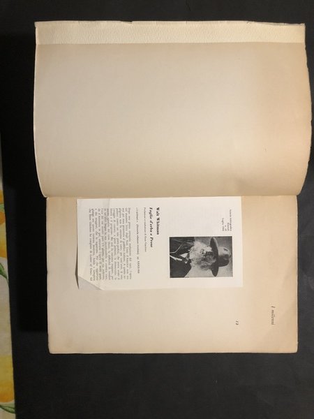 FOGLIE D'ERBA E PROSE