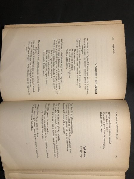 FOGLIE D'ERBA E PROSE