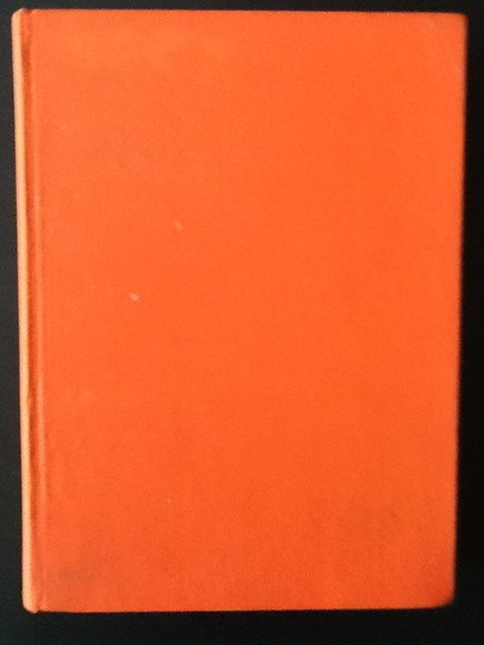 LE NAVI DEI VICHINGHI E ALTRE AVVENTURE ARCHEOLOGICHE NELL'EUROPA PREISTORICA