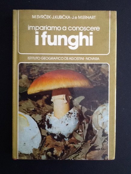 IMPARIAMO A CONOSCERE I FUNGHI