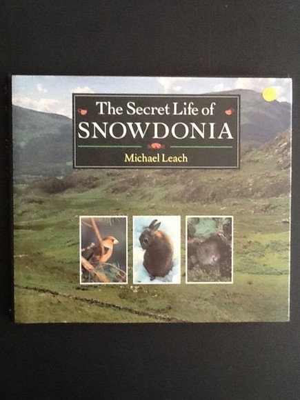 THE SECRET LIFE OF SNOWDONIA
