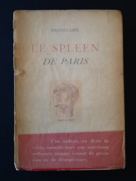 LE SPLEEN DE PARIS