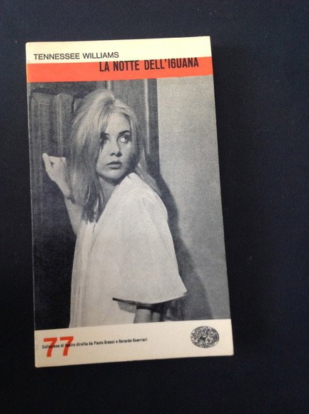 LA NOTTE DELL'IGUANA