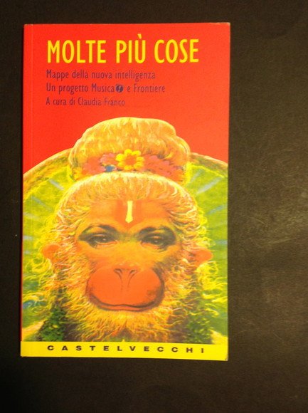 MOLTE PIU' COSE MAPPE DELLA NUOVA INTELLIGENZA