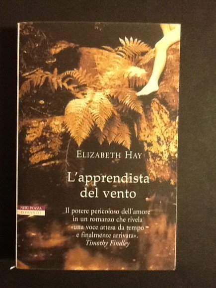 L'APPRENDISTA DEL VENTO