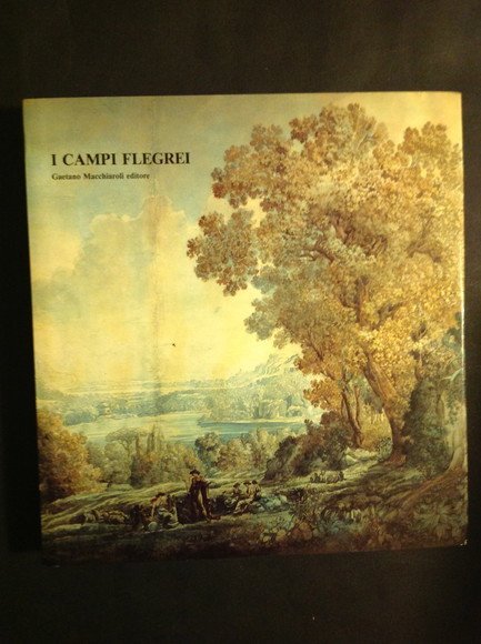 I CAMPI FLEGREI