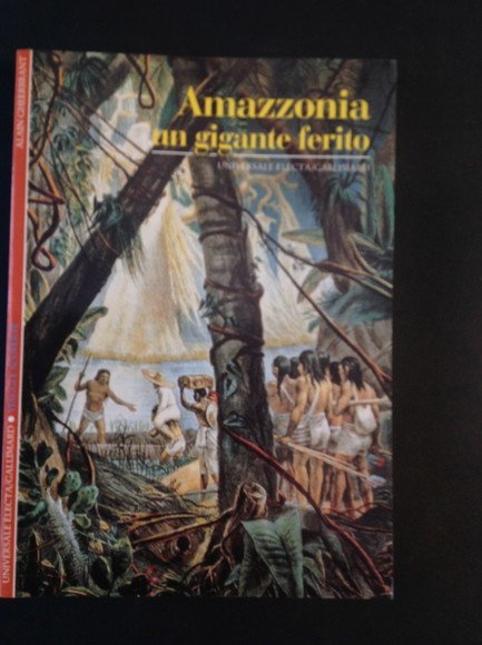 AMAZZONIA UN GIGANTE FERITO