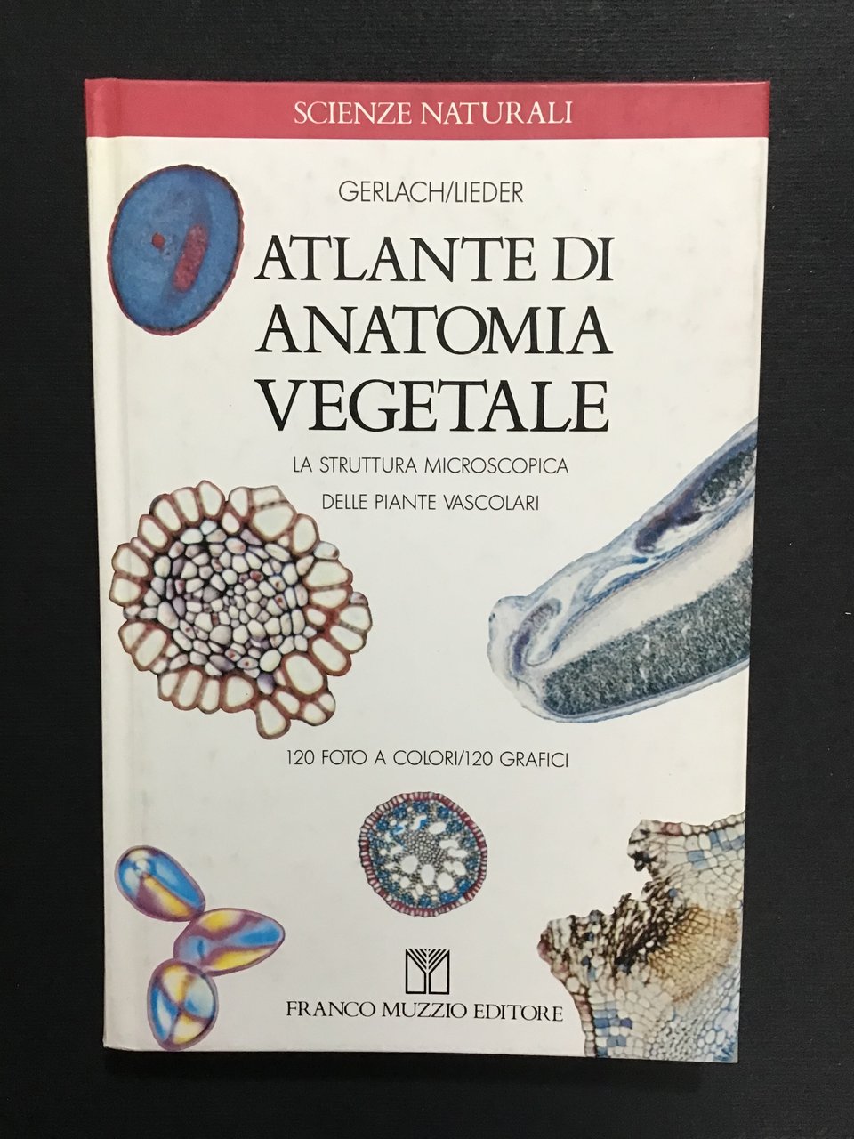 ATLANTE DI ANATOMIA VEGETALE
