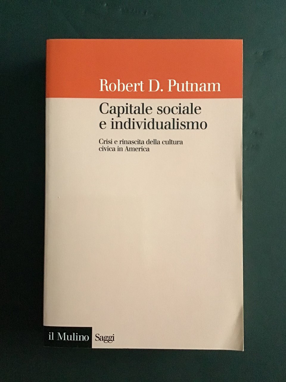 CAPITALE SOCIALE E INDIVIDUALISMO. CRISI E RINASCITA DELLA CULTURA CIVICA … | Immagine principale
