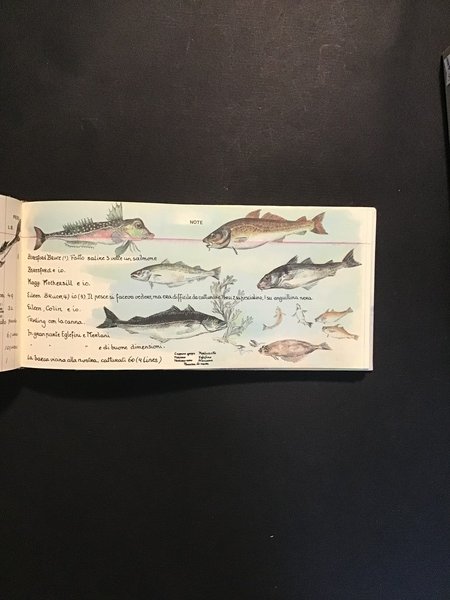 DIARIO DI PESCA