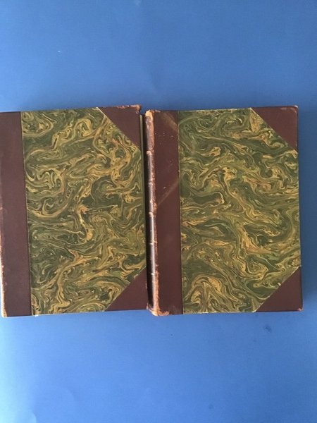 DIZIONARIO ILLUSTRATO DEI PITTORI E INCISORI ITALIANI MODERNI (1800-1900) - …