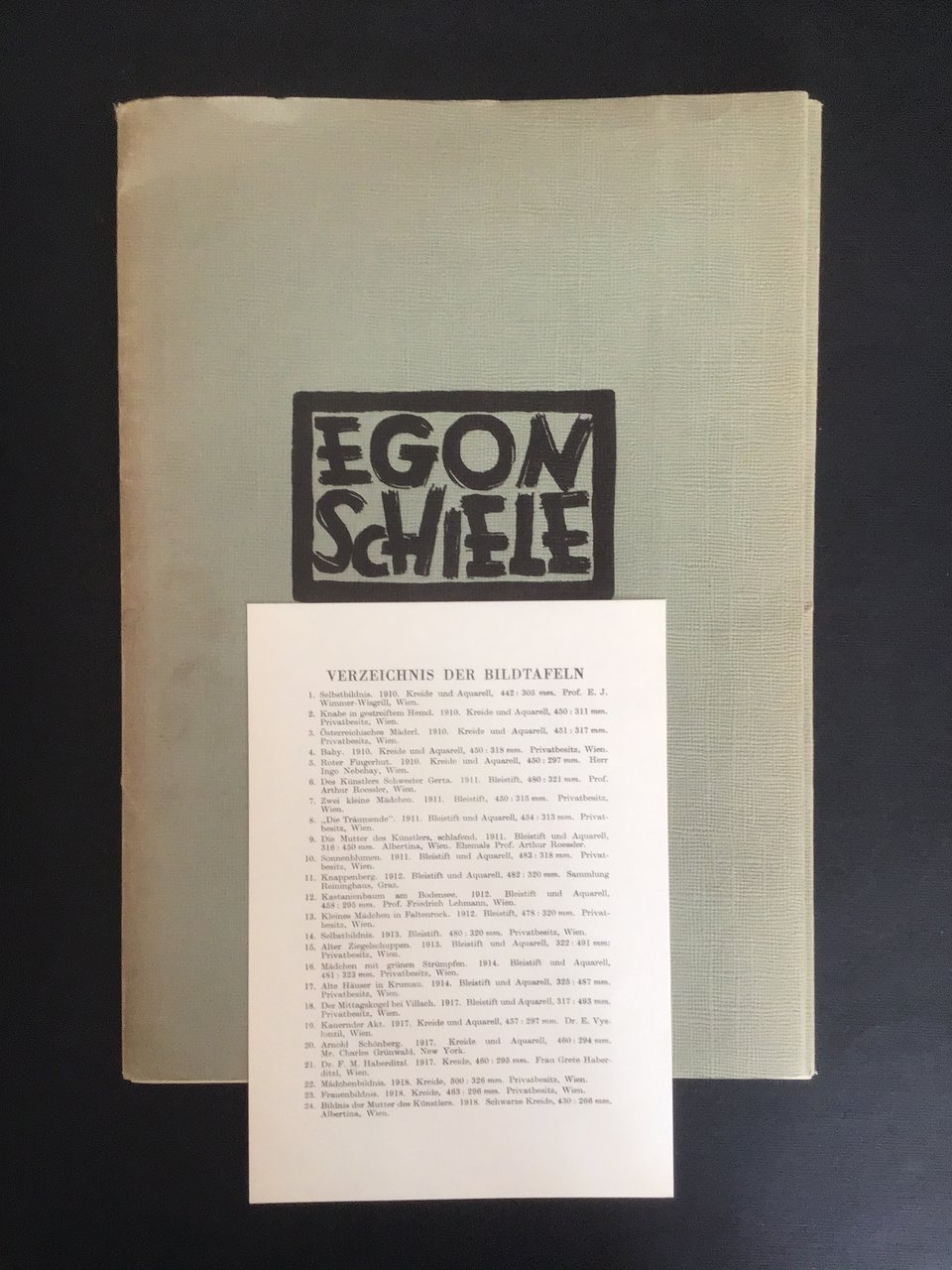 EGON SCHIELE ALS ZEICHNER